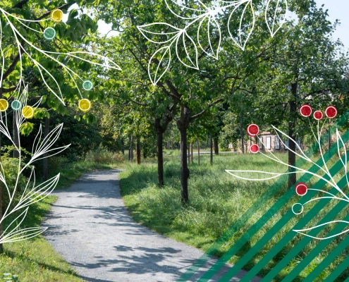 Ein geschwungener Weg führt durch grüne Bäume und hohes Gras im Comenius-Garten, mit dekorativen Blättern, Beeren und Linien über dem Naturmotiv.